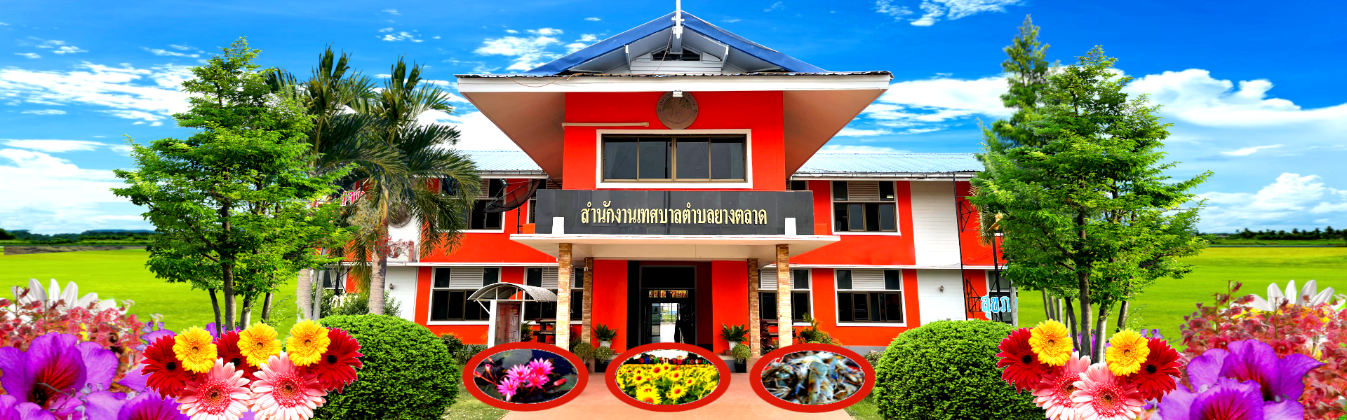 พื้นหลัง